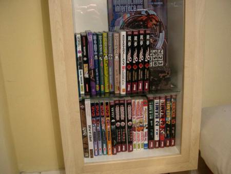 Mes mangas